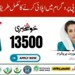 Online Registration for Benazir Income Support Programme (BISP 8171)