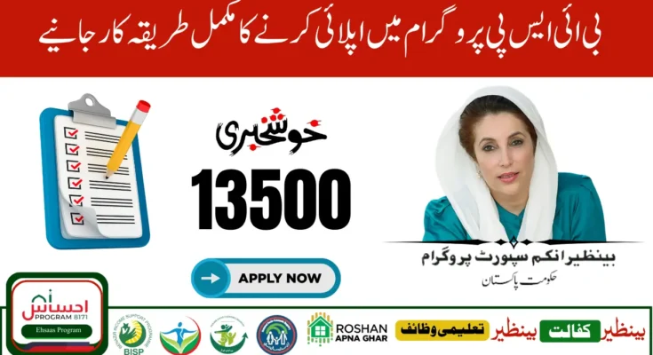 Online Registration for Benazir Income Support Programme (BISP 8171)