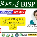 Ehsaas Program 8171 CNIC Check Online: Complete Web Portal Guide (2025)