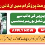 Benazir Hunarmand Program Online Registration