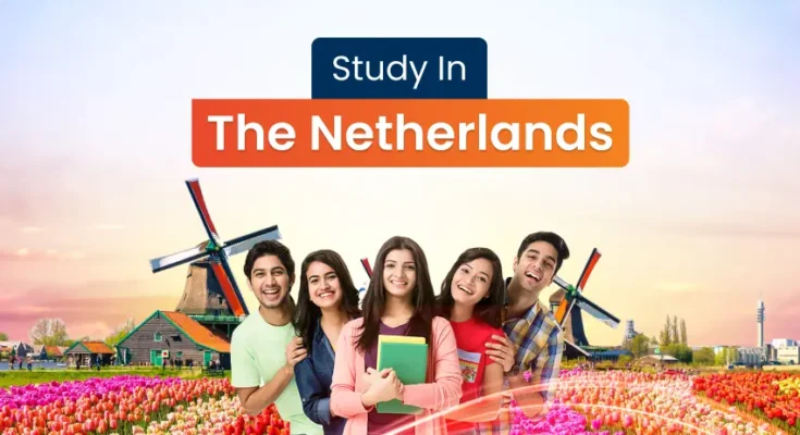 Studying in the Netherlands: A Global Student’s Guide