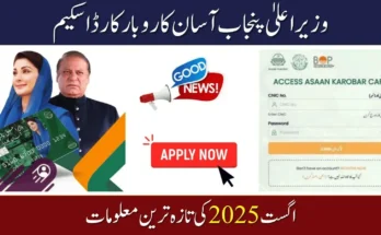 CM Punjab Asaan Karobar Finance 2025: Empowering Entrepreneurs for Economic Growth